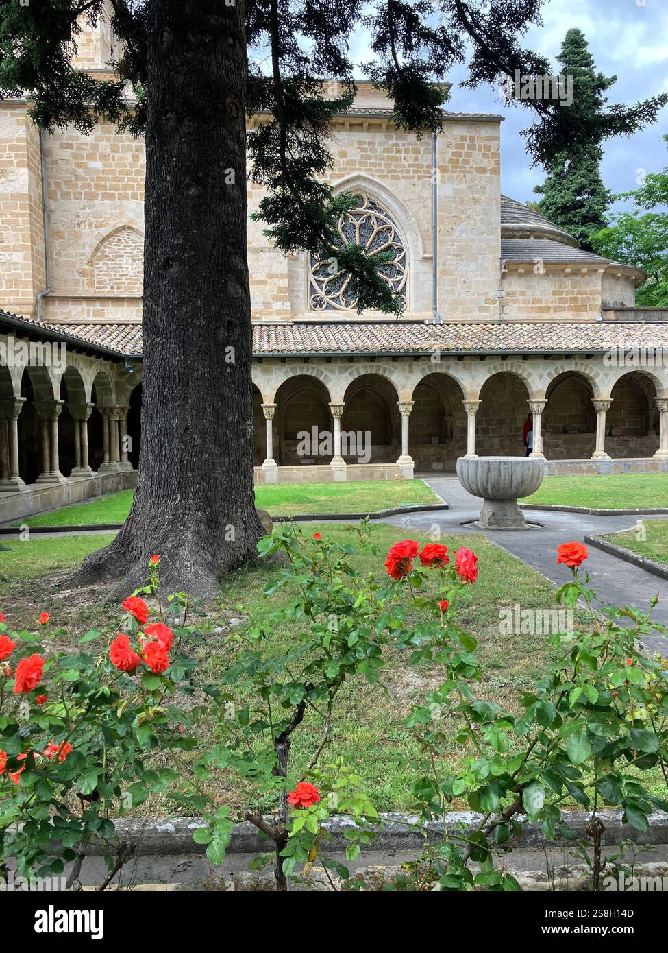 The Cloister and Garden: Iglesia San Pedro de la Rúa, Esetlla, Navarre, Spain - Smartphone Captured Stock Image