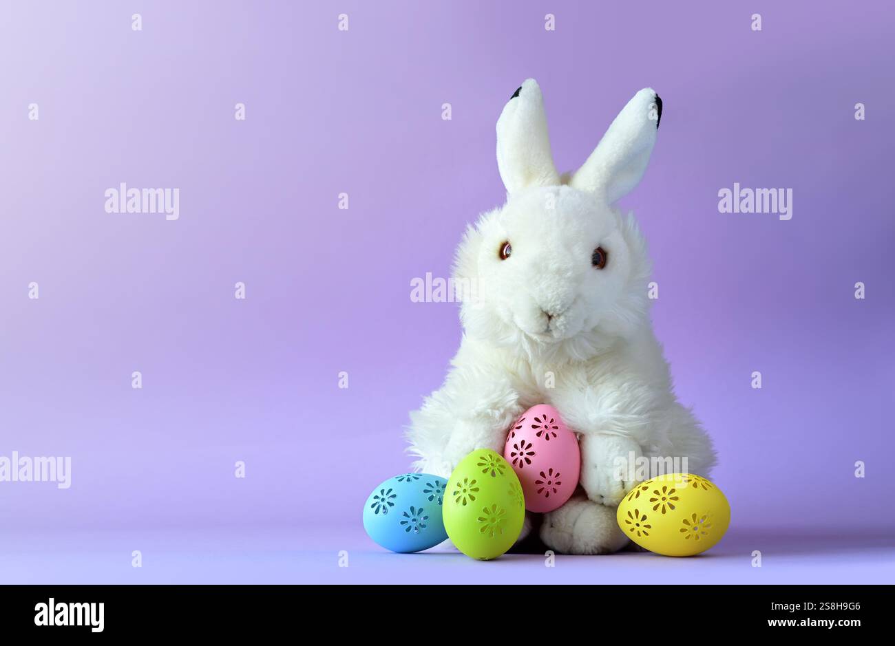Easter bunny with colorful easter eggs on a violet background. Stock Photo