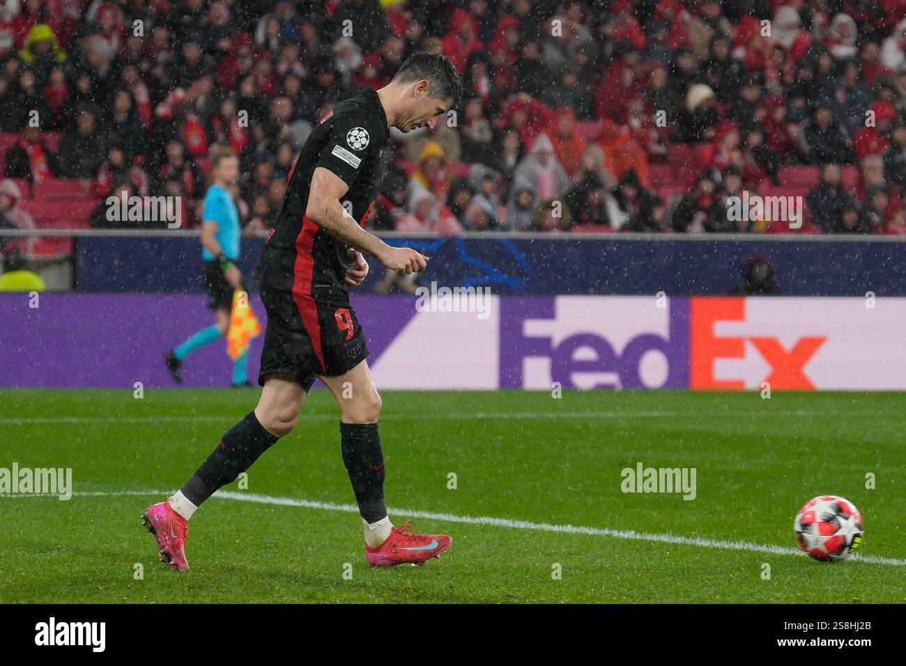 Lisbon, Portugal. 21st Jan, 2025. Robert Lewandowski of FC Barcelona celebrates his second goal during UEFA Champions League 2024/25 League phase Matchday 7 between Benfica and Barcelona at Estadio da Luz in Lisbon, Portugal. 21/01/2025 Credit: Brazil Photo Press/Alamy Live News Stock Photo