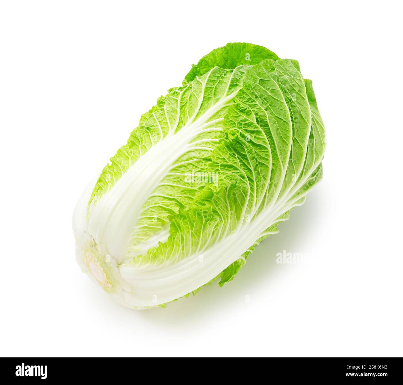 Fresh Chinese Cabbage Isolated on White Background. Stock Photo