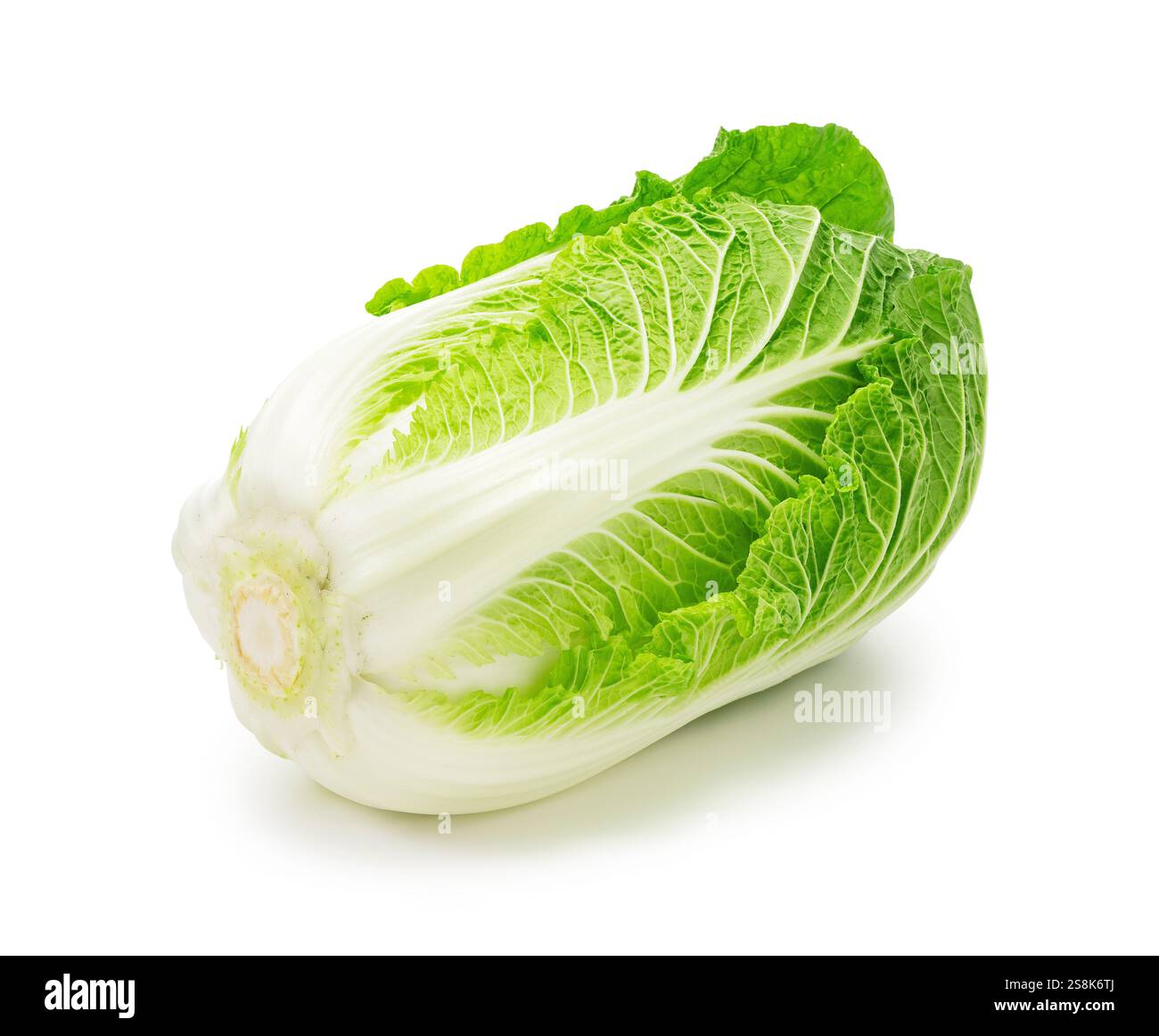 Fresh Chinese Cabbage Isolated on White Background. Stock Photo