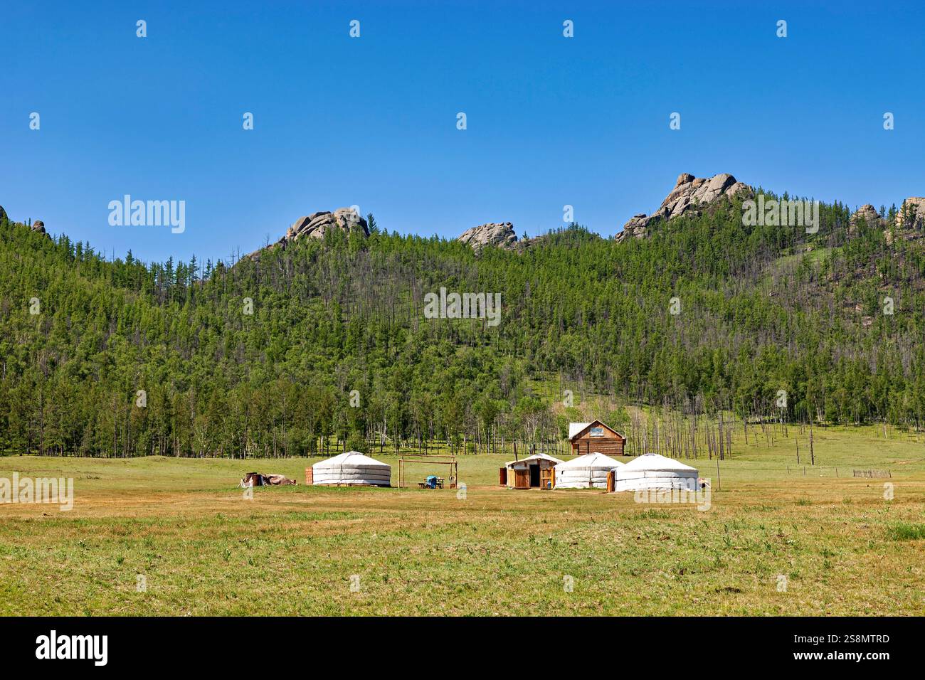 A yurt camp of nomadic Mongolians Stock Photo - Alamy