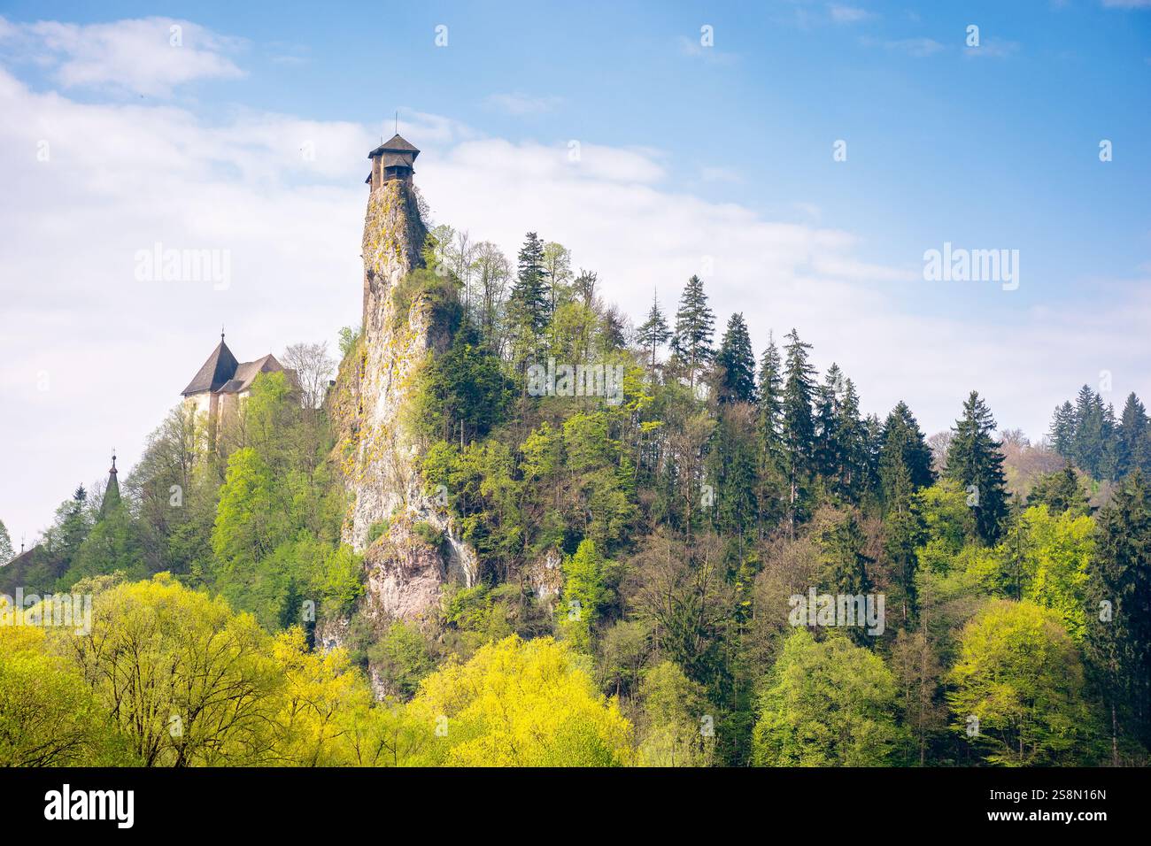 medieval orava castle of slovakia, europe. fairytale stronghold. high tower above landscape with trees and meadow in spring. sunny day. culture herita Stock Photo