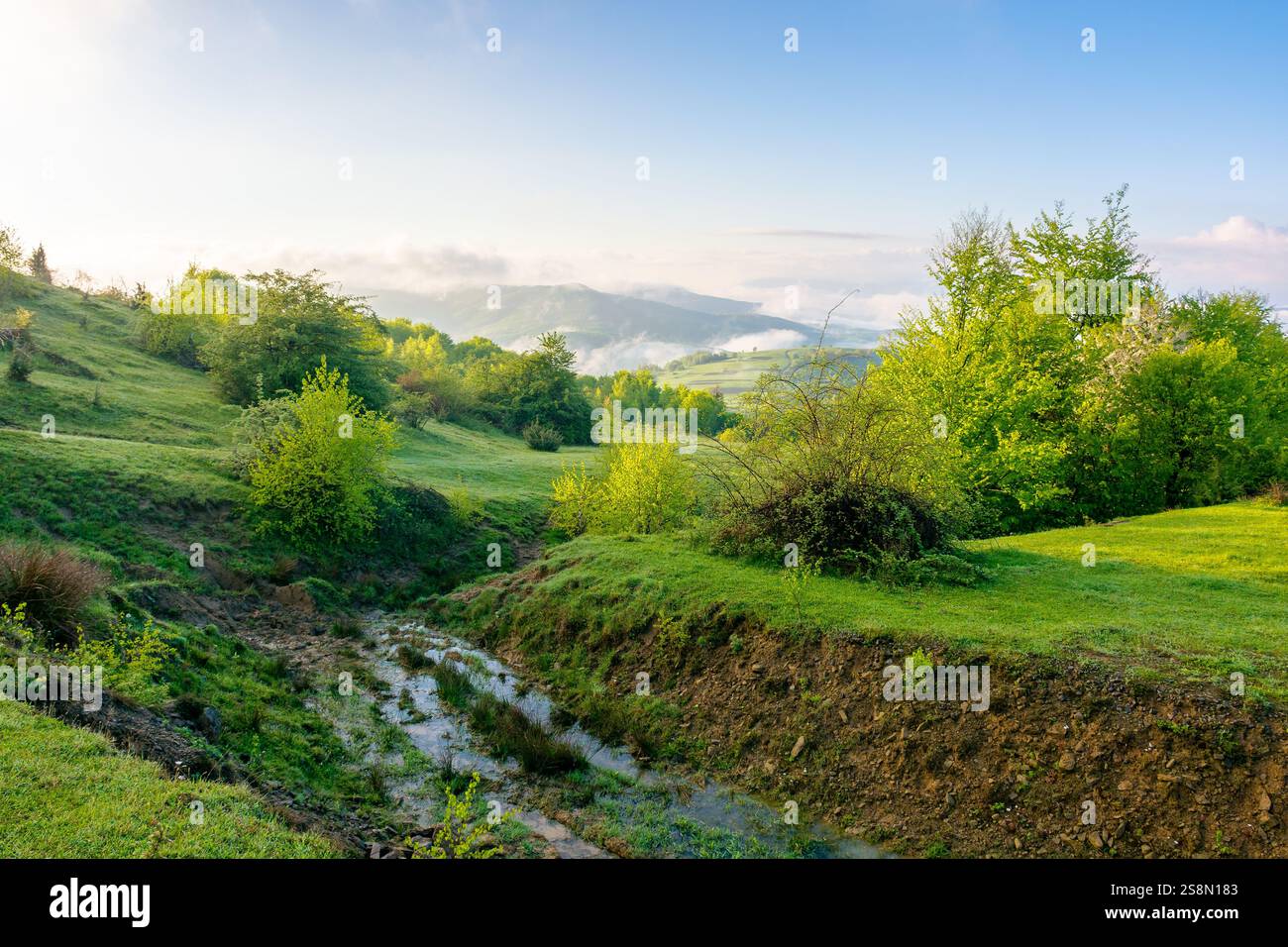 mountain landscape with fog and clouds. scenic place with remote pasture. deciduous woods on the grassy hill. sunny morning in spring. rugged terrain Stock Photo