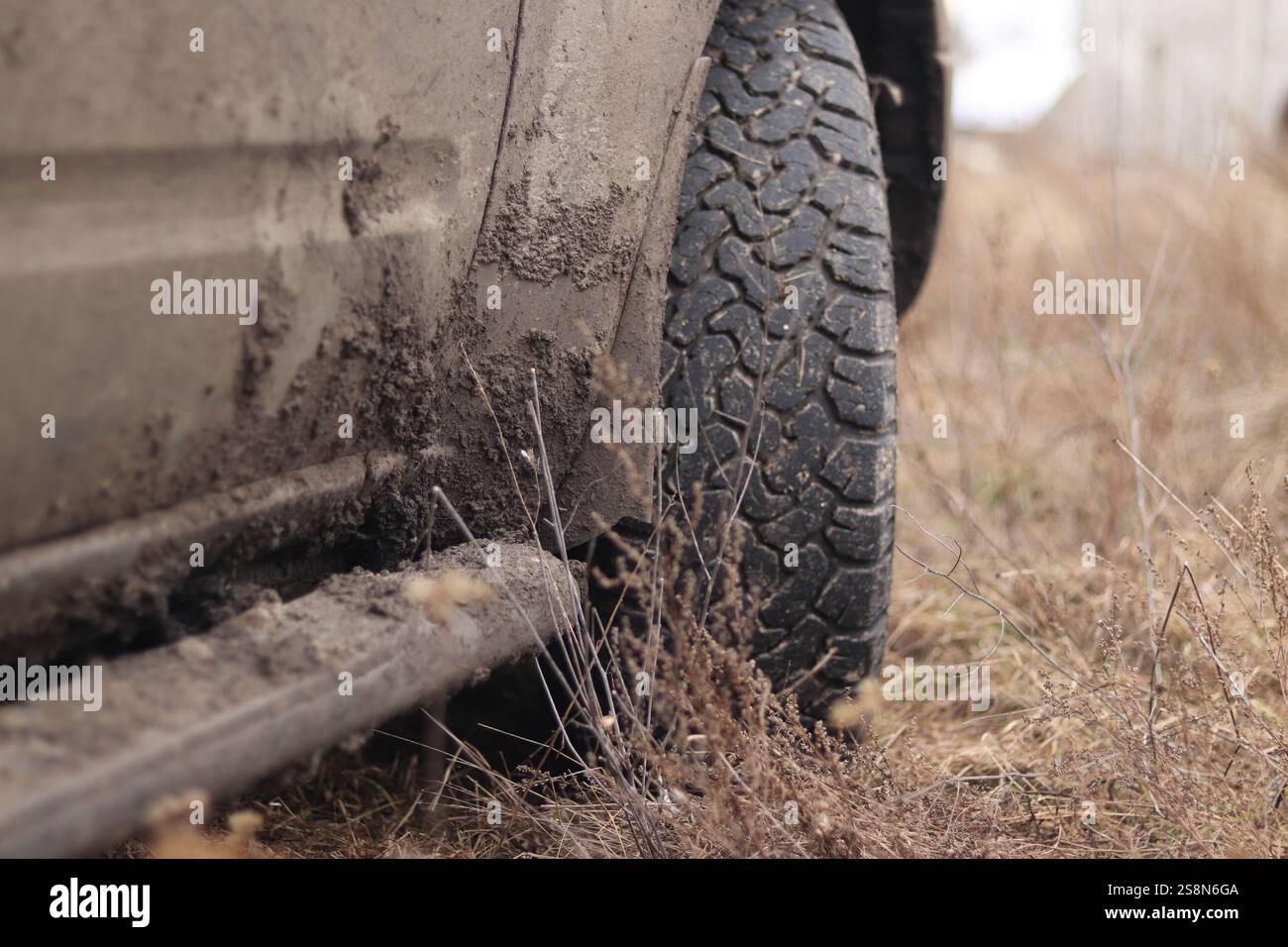 Pickup truck in mud, off-road tires, close-up. Car wheel on dirt road ...