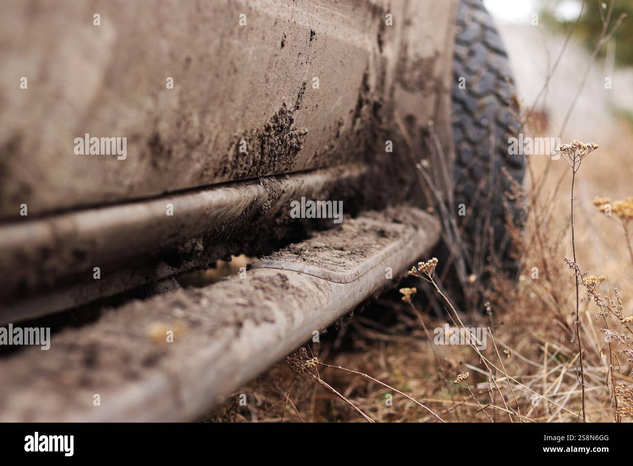 Pickup truck in mud, off-road tires, close-up. Car wheel on dirt road ...
