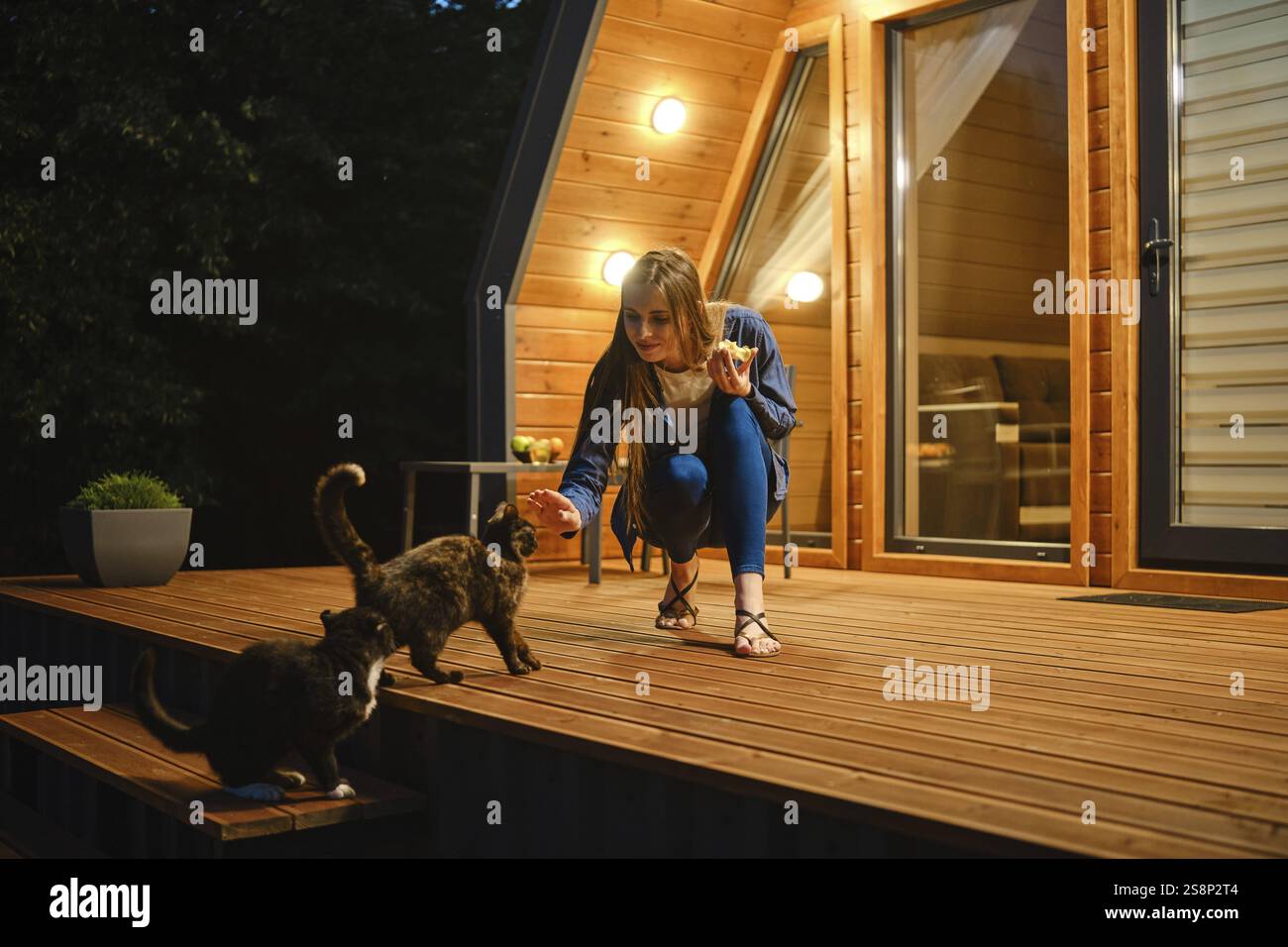 Cute woman sits on a wooden deck and playing with two curious cats Stock Photo