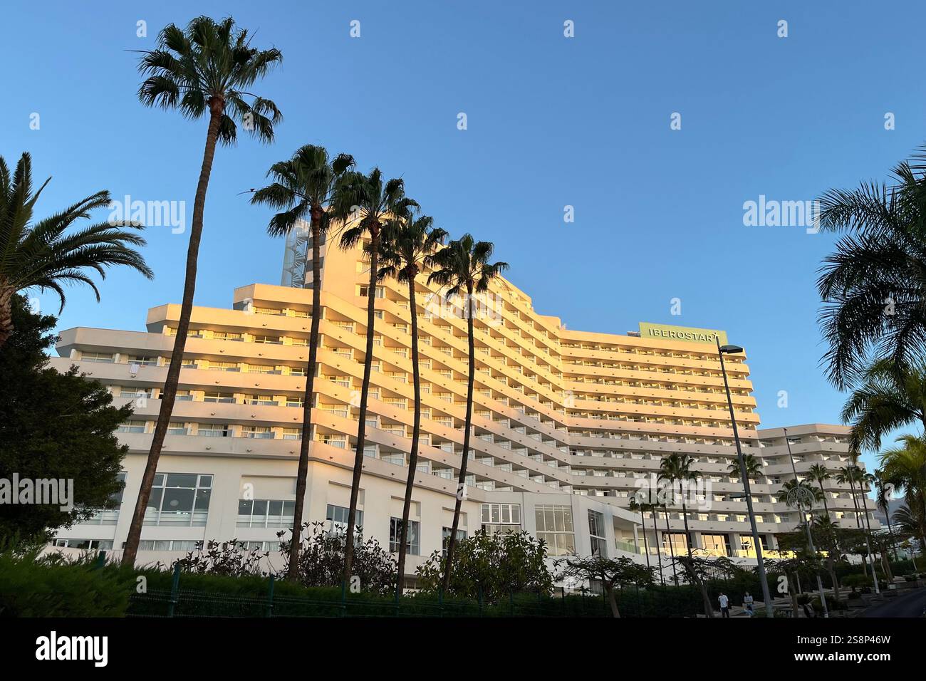 Tall Palm Trees in front of the Iberostar Waves Bouganville Playa Hotel. Costa Adeje, Tenerife, Canary Islands, Spain. 14th January 2025. - Smartphone Captured Stock Image