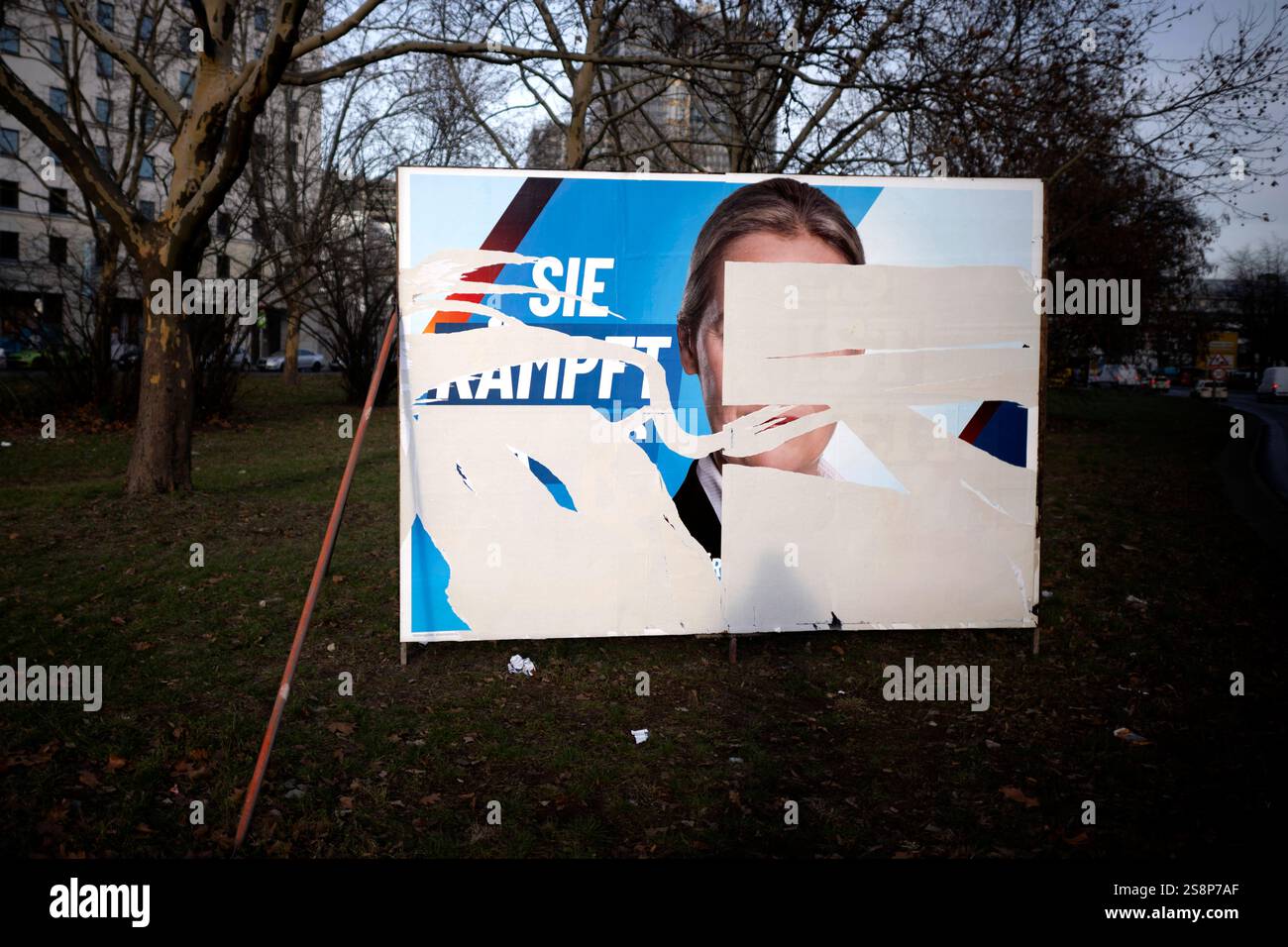 Parteiprogramm Afd AfD Wahlplakat DEU, Deutschland, Germany, Berlin, 20.01.2025 ...