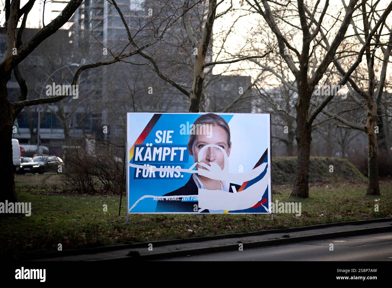Parteiprogramm Afd AfD Wahlplakat DEU, Deutschland, Germany, Berlin, 20.01.2025 ...