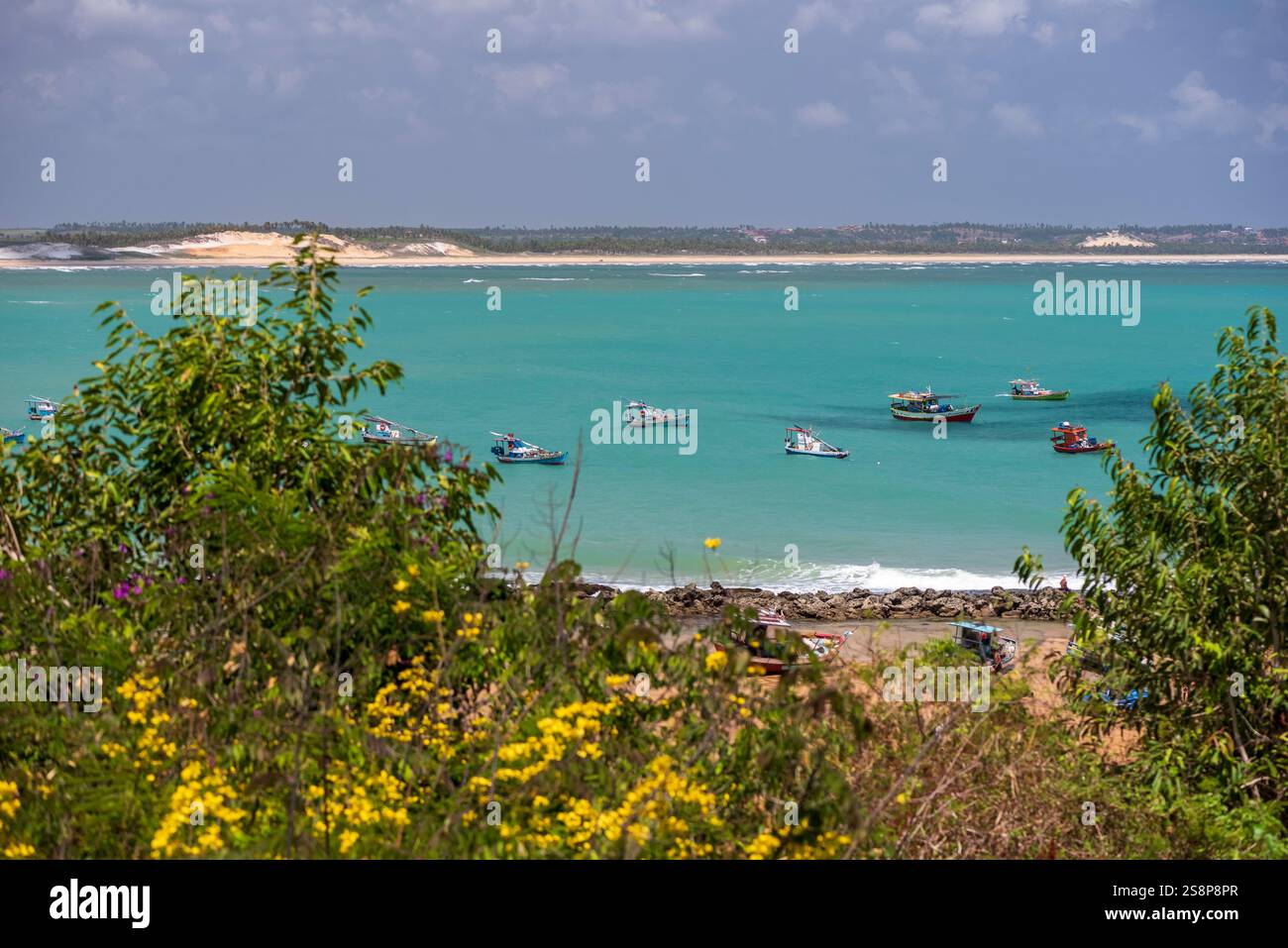 Scenic View of Baía Formosa Beach, Rio Grande do Norte, Brazil on ...