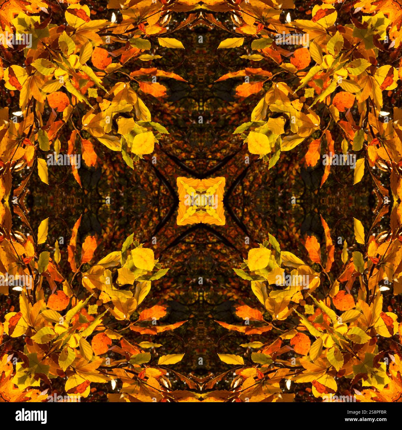 Kaleidoscope of Autumn leaves Stock Photo - Alamy