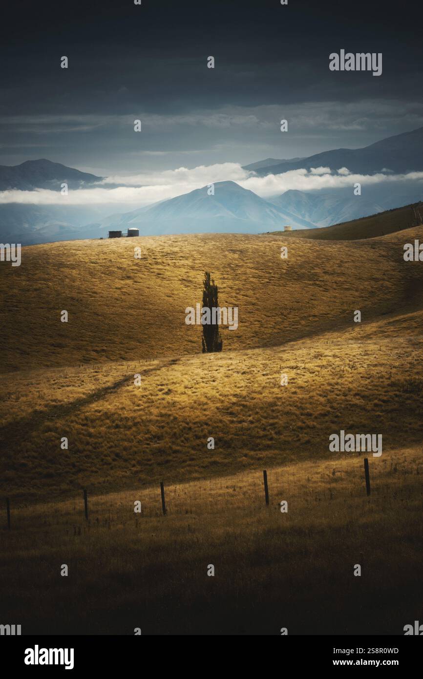 An image of an impression of the south island of New Zealand Stock ...