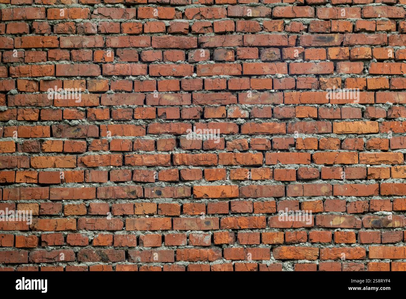 Red brick wall with detailed texture and visible mortar between bricks Stock Photo