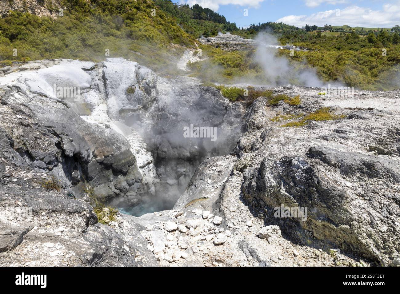 An image of geothermal activity at Whakarewarewa Rotorua New Zealand ...