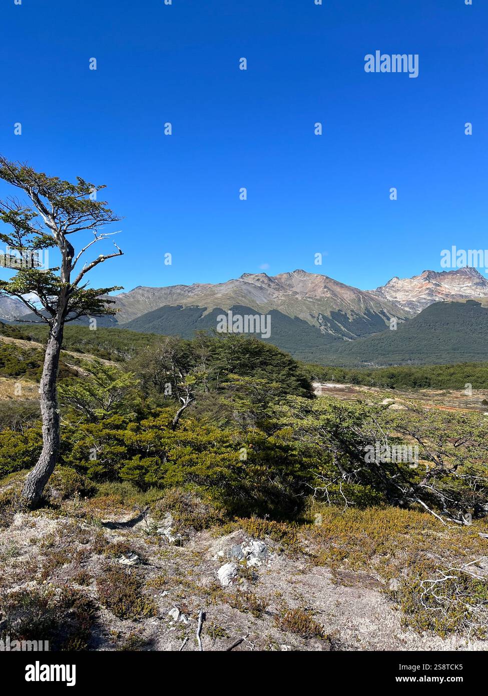 Breathtaking view in mountain trekking - Smartphone Captured Stock Image