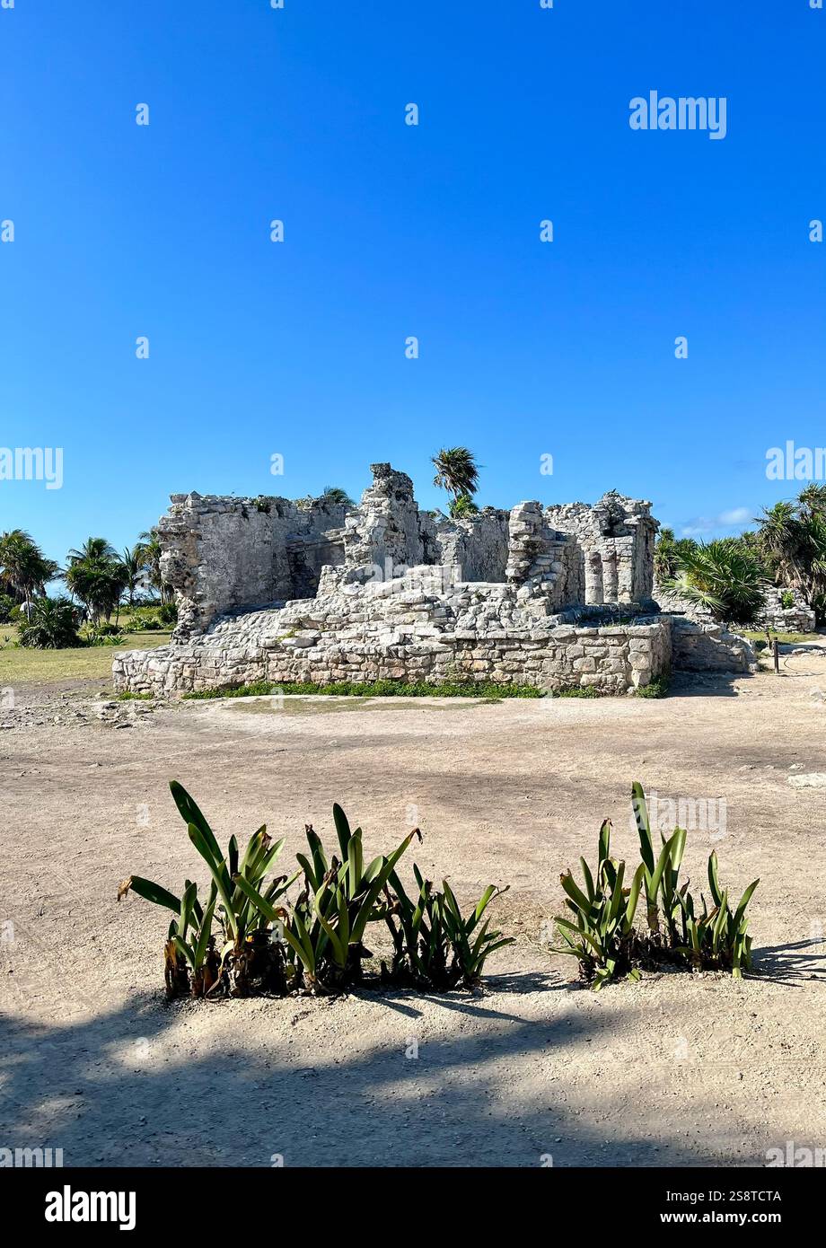 Tulum ruins on a hot day - Smartphone Captured Stock Image
