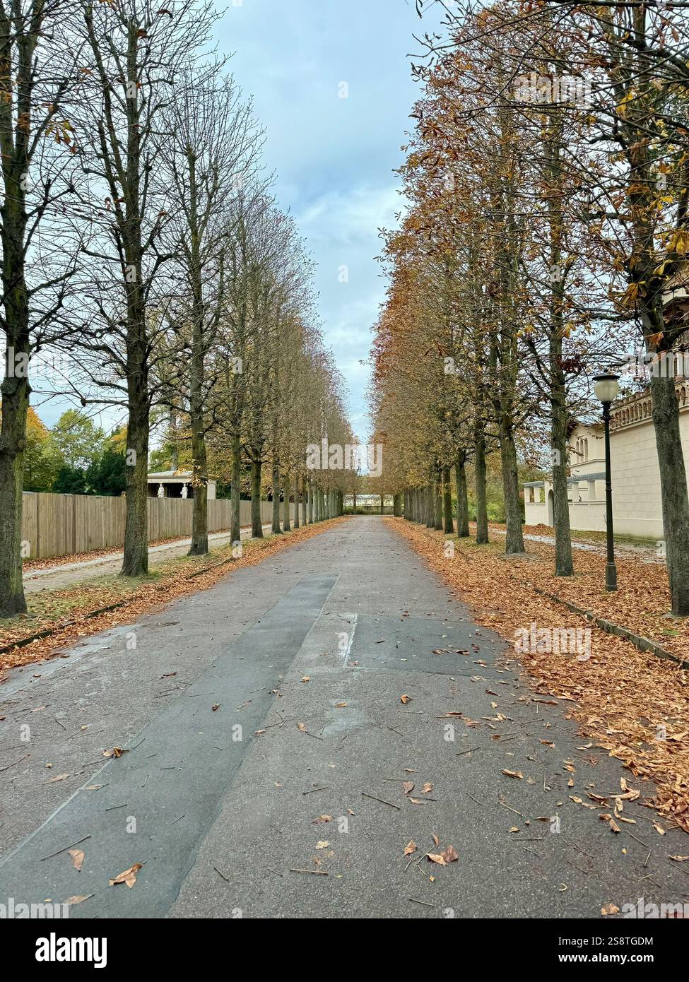 Entrance to Potsdam forest in fall - Smartphone Captured Stock Image