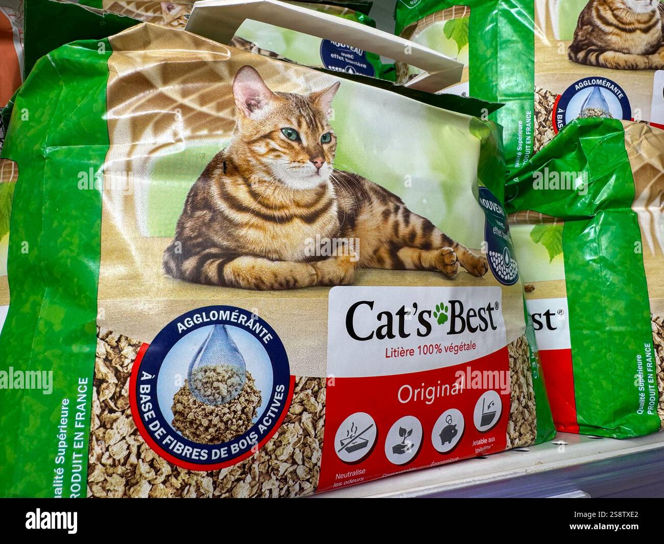 View of Eco-friendly cat litter promotes healthy living for pets and owners ...