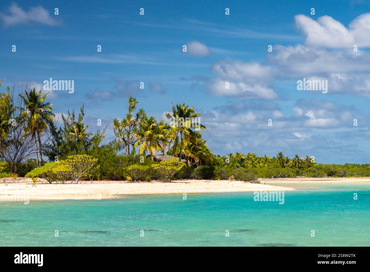 French Polynesia, Tikehau Atoll. Atoll beach and ocean Stock Photo - Alamy