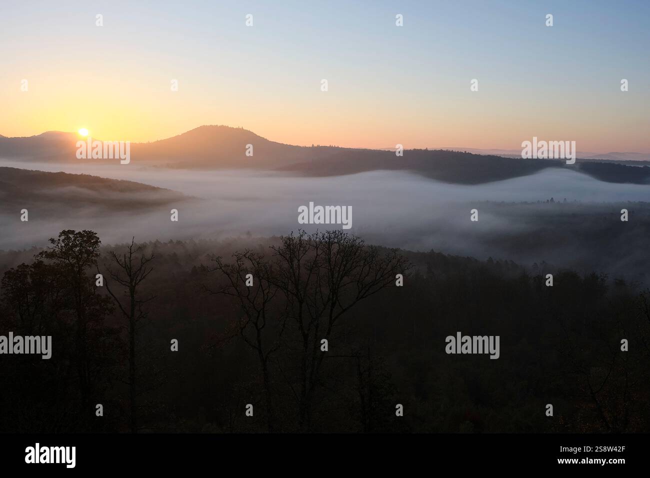 Sonnenaufgang im Nebel in der Pfalz Stock Photo