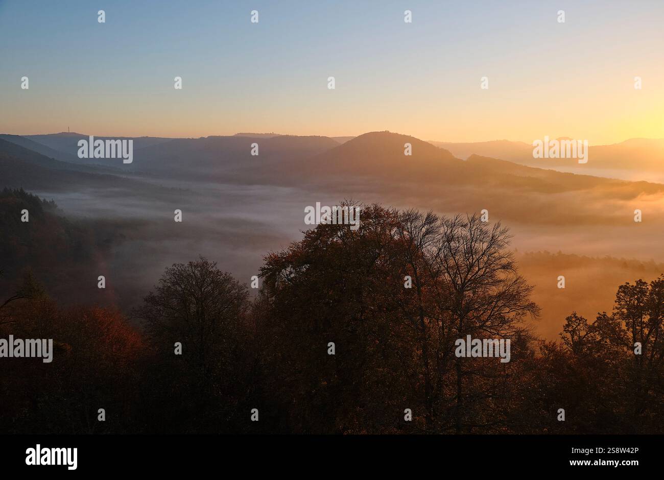 Sonnenaufgang mit Nebel in der Pfalz Stock Photo