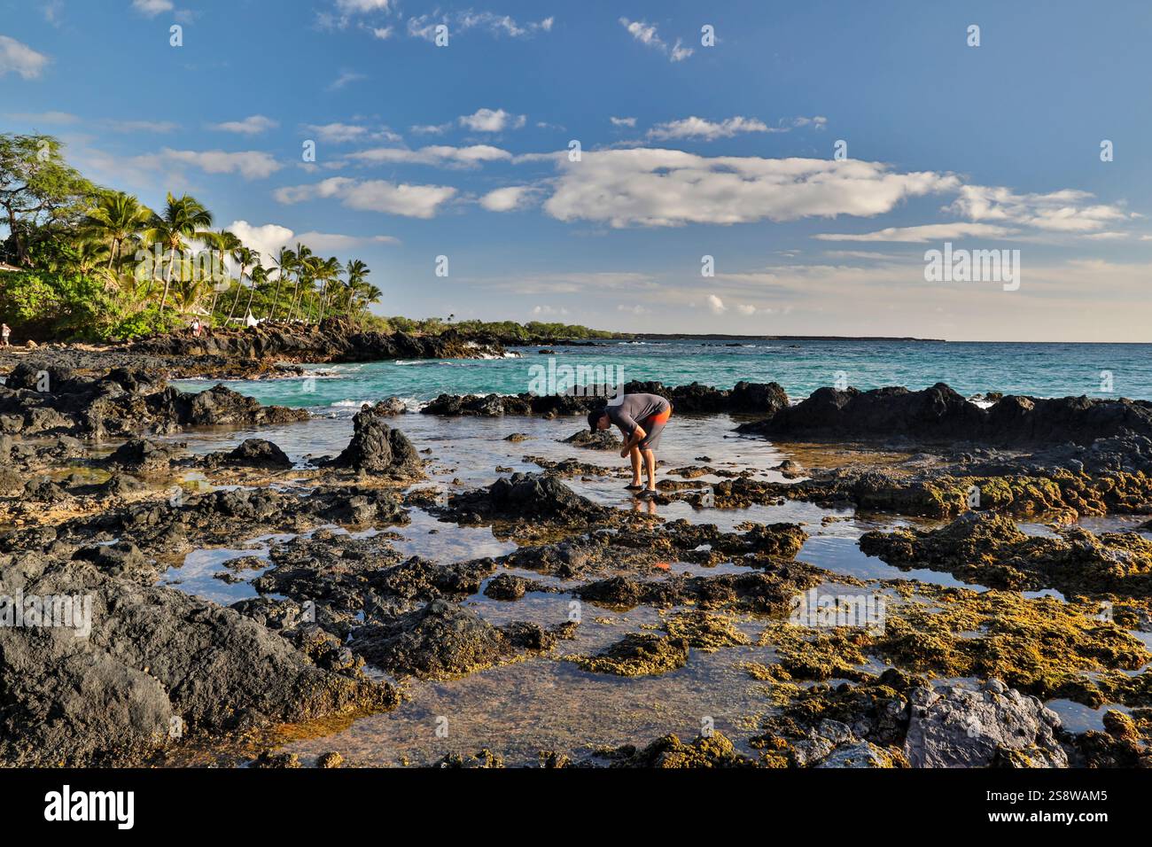 USA, Hawaii, Maui, Makena. White sands of Makena Cove Stock Photo - Alamy