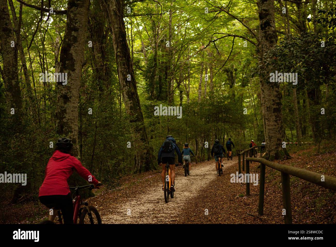 Umbra, ITALY-SEPTEMBER 26 2024: the Gargano National Park in Italy on a bike ride through the breathtaking Umbra Forest. Stock Photo