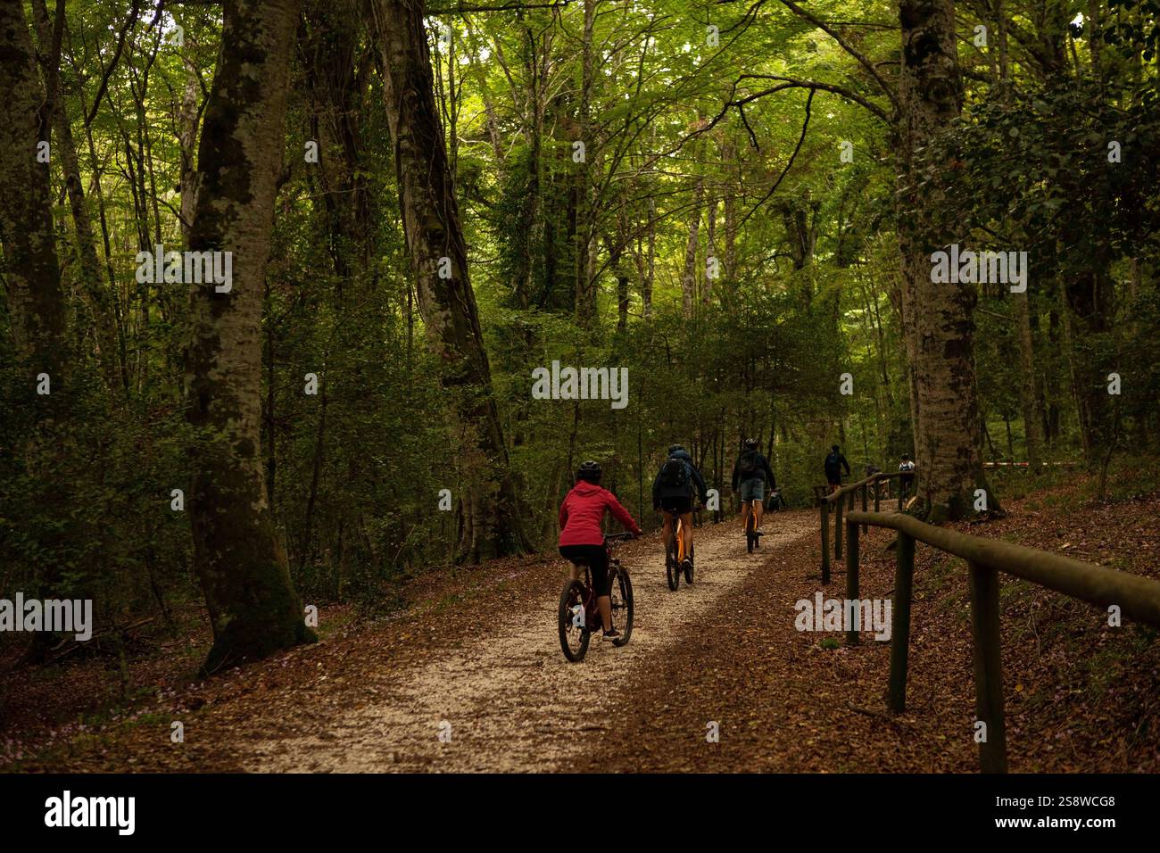 Umbra, ITALY-SEPTEMBER 26 2024: the Gargano National Park in Italy on a bike ride through the breathtaking Umbra Forest. Stock Photo