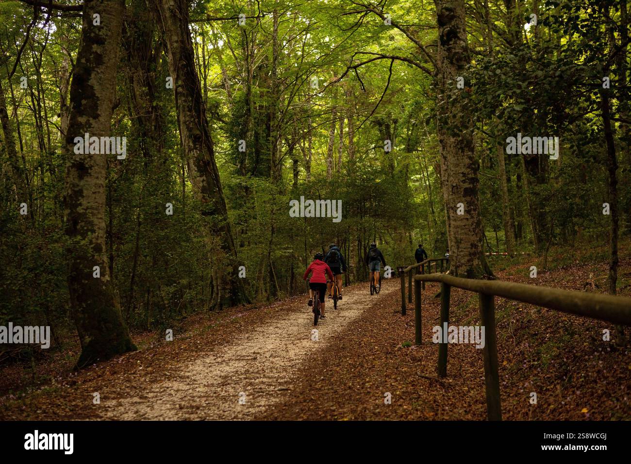 Umbra, ITALY-SEPTEMBER 26 2024: the Gargano National Park in Italy on a bike ride through the breathtaking Umbra Forest. Stock Photo
