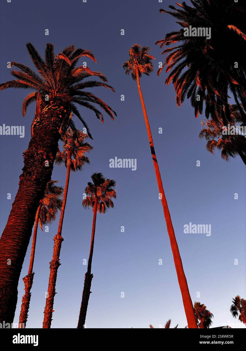 Sunset Views of Santa Monica - Smartphone Captured Stock Image