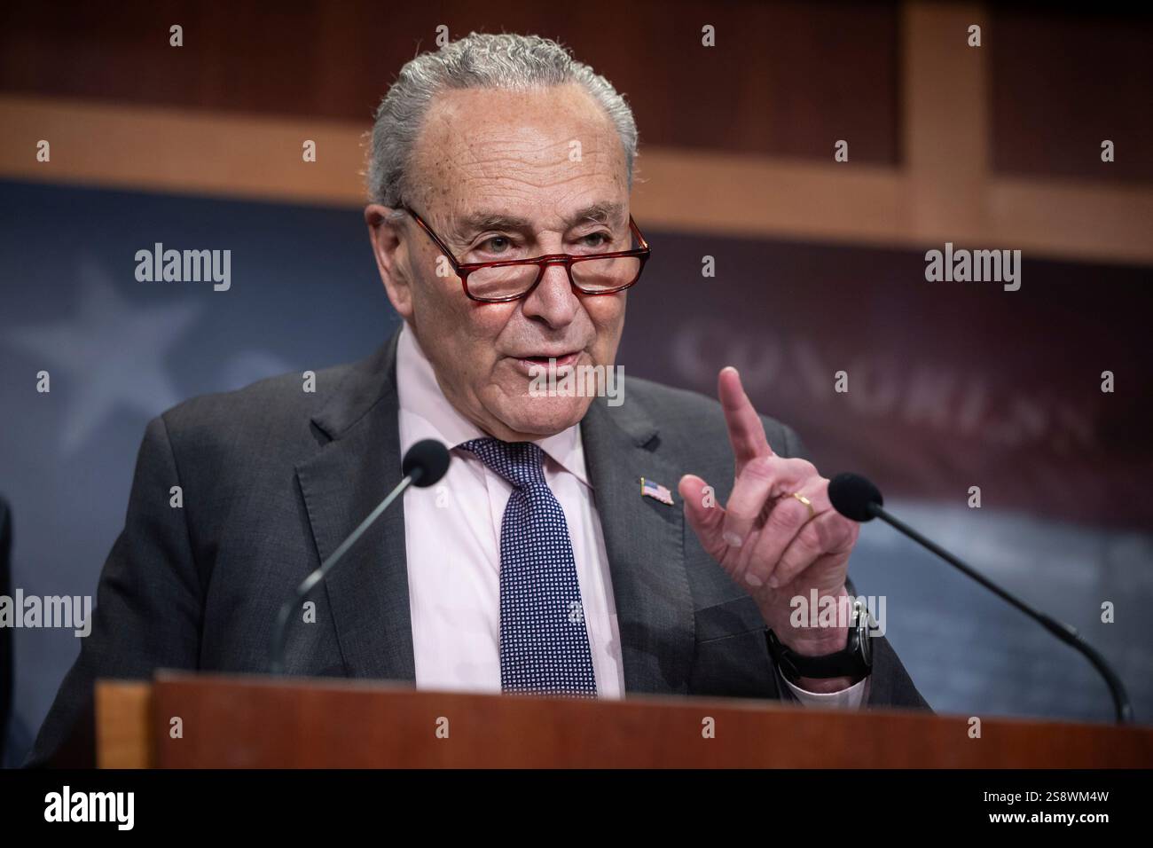 Senate Minority Leader Chuck Schumer (D-N.Y.) speaks during a press ...