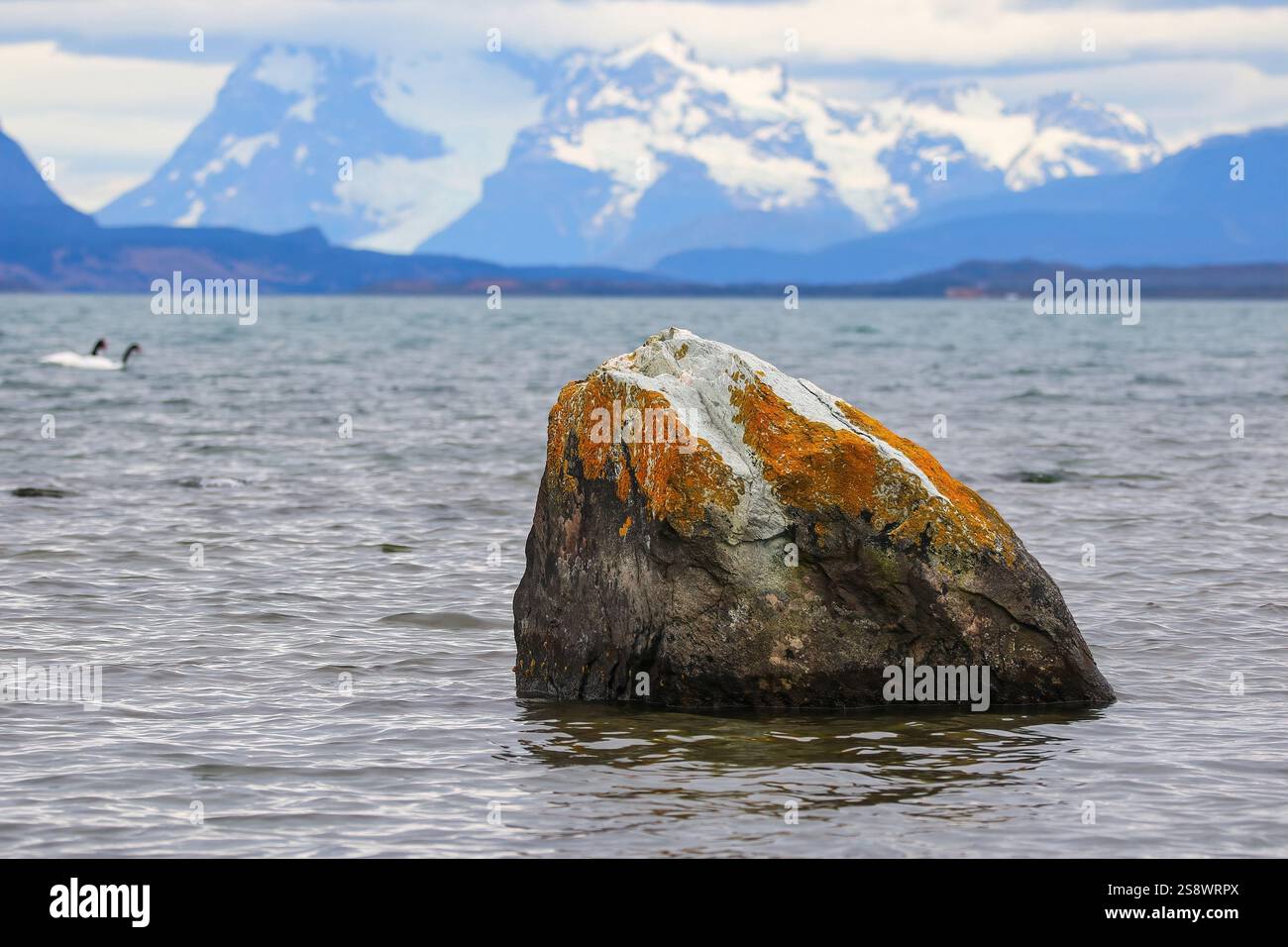 Rock emerging from the surface of the water in Puerto Natales ...