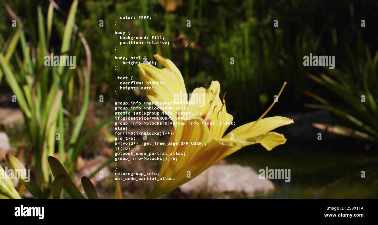 Image of data processing over yellow flower and bee Stock Photo