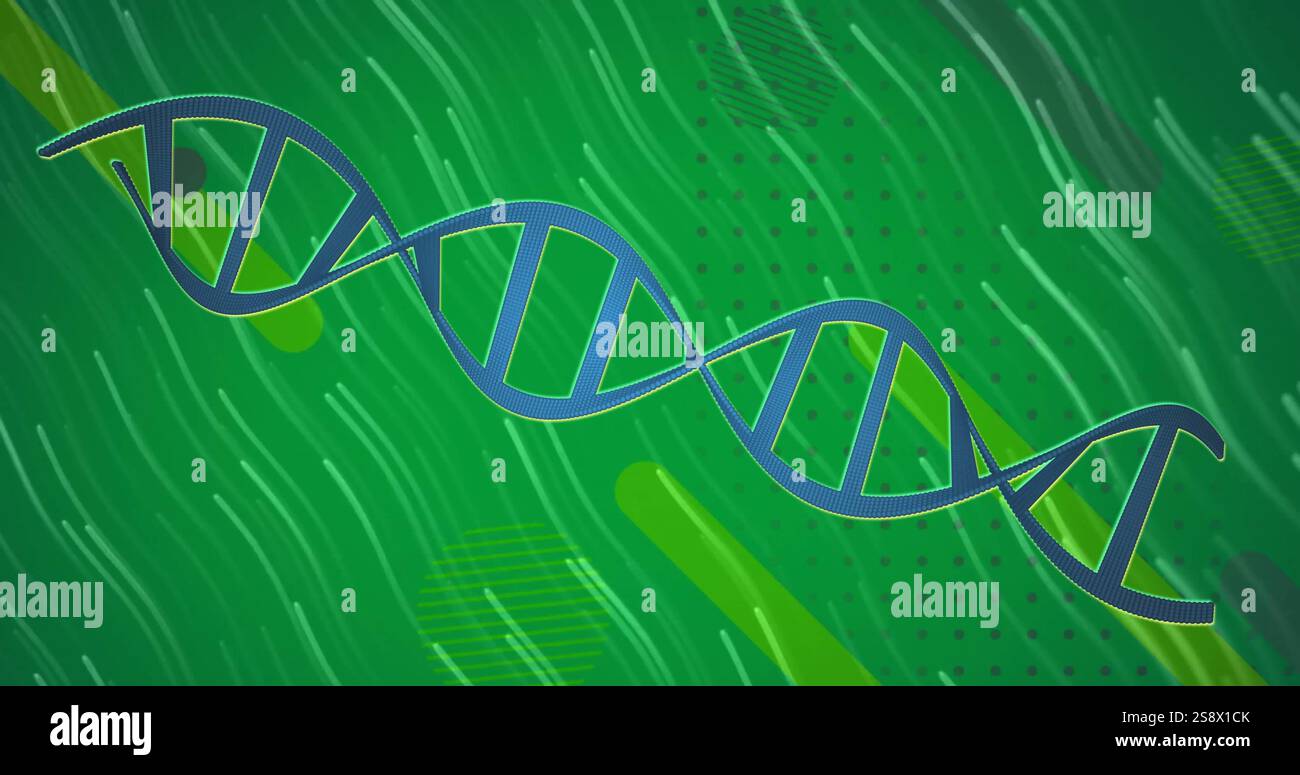 Image of dna strand and data processing over glowing light trails Stock Photo
