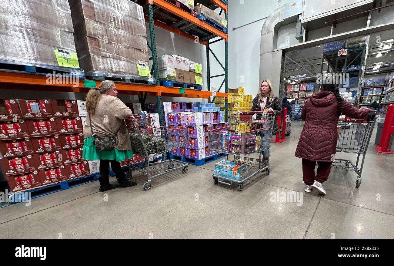 Shoppers guide their carts through the milk display in a Costco ...