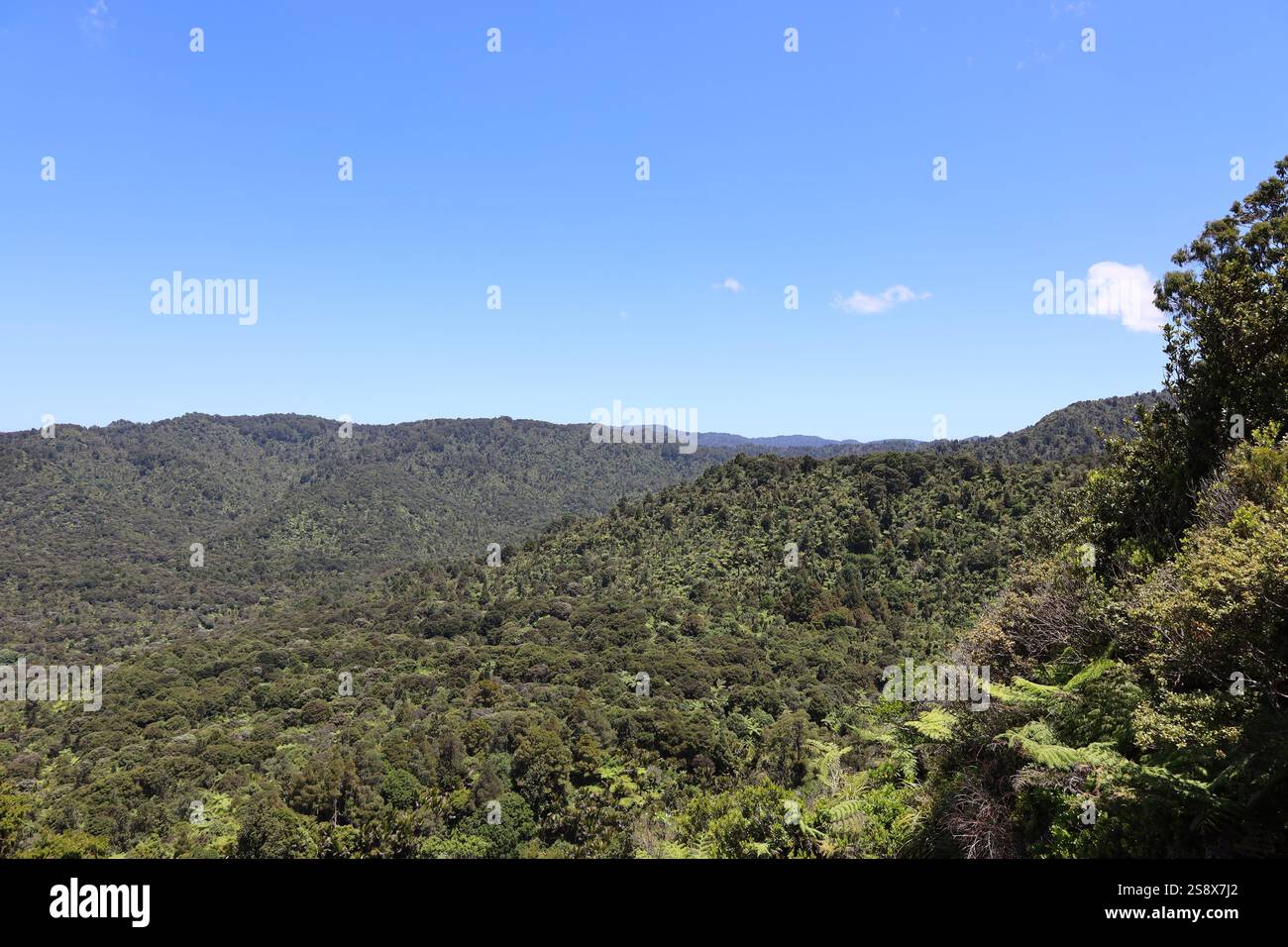 Undulating rolling hills hi-res stock photography and images - Alamy