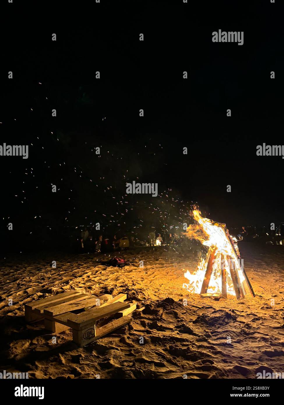 A roaring wood bonfire on a sandy beach at night, likely during Guy Fawkes Night or a community celebration in Scotland. - Smartphone Captured Stock Image