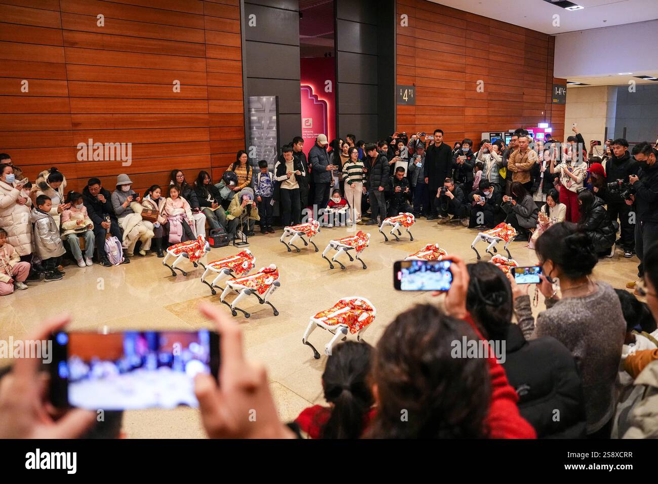 Chinese Mainland Hong Kong Macau And Taiwan Out Robot Dogs Chinese Mainland Hong Kong Macau And Taiwan Out Robot Dogs