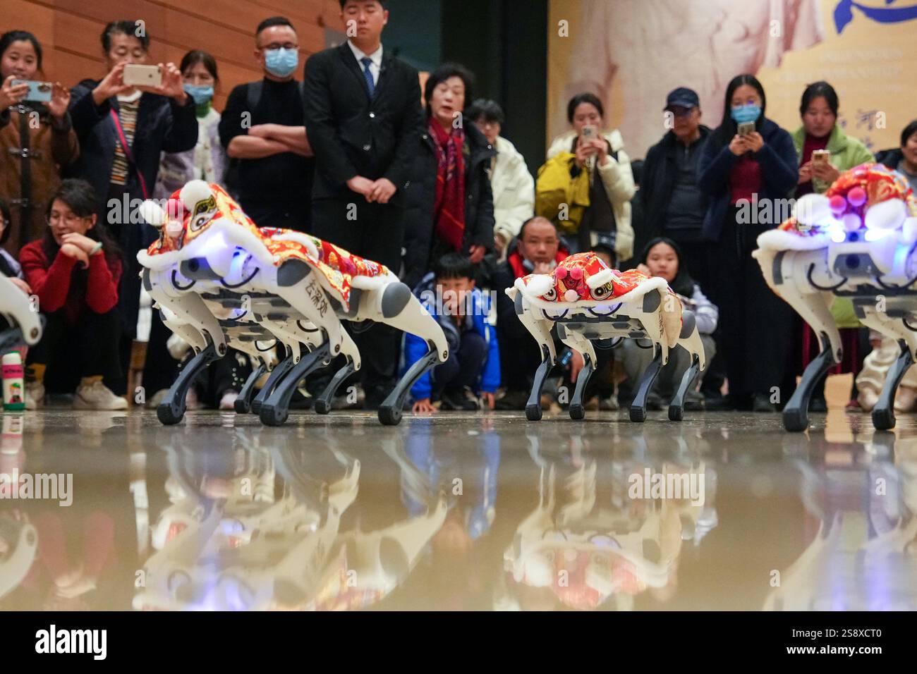 Chinese Mainland Hong Kong Macau And Taiwan Out Robot Dogs Chinese Mainland Hong Kong Macau And Taiwan Out Robot Dogs