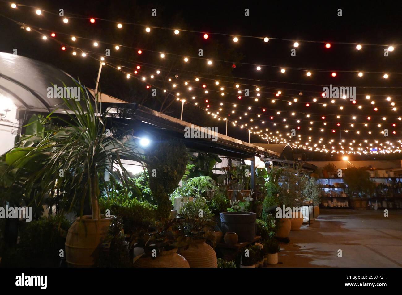 Los Angeles, California, USA 22nd January 2025 Lights and plants on