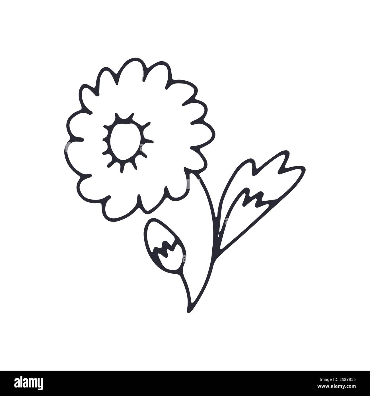 Hand drawn black and white outlined doodle daisy flower Stock Vector ...