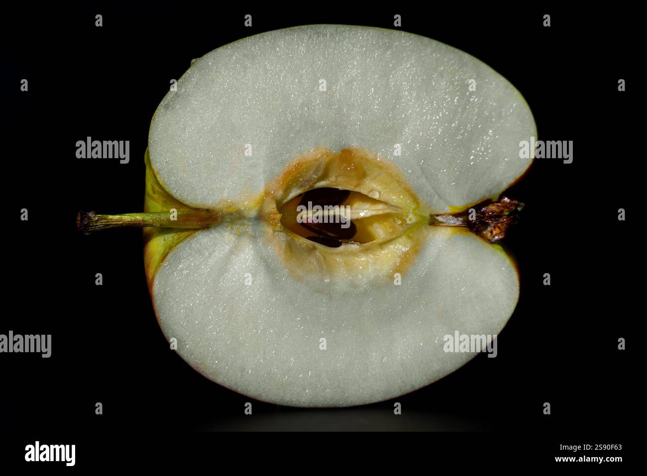 This image shows a ripe apple's cross-section, revealing its white ...