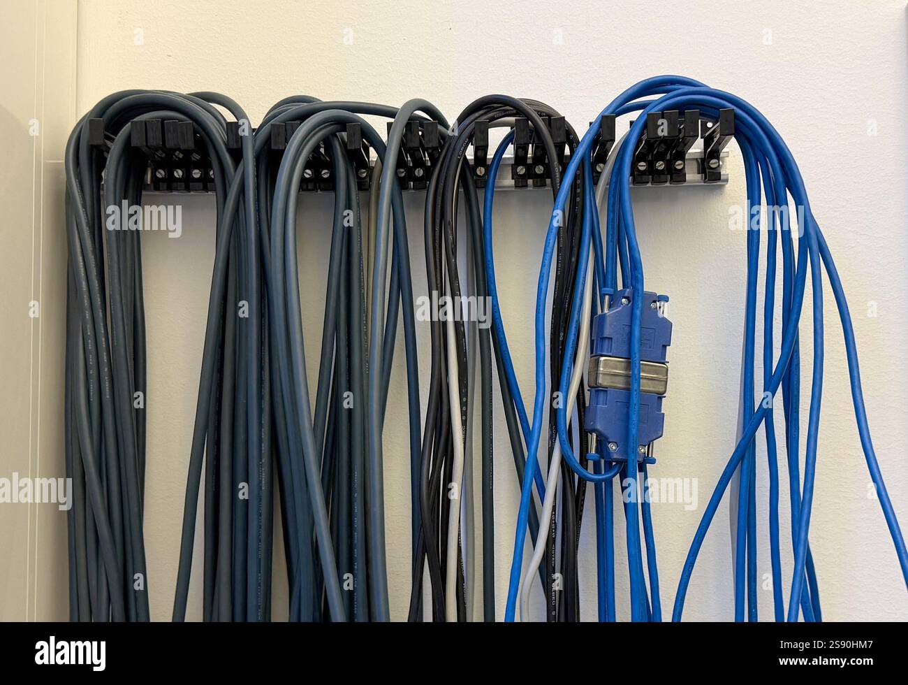 Wires patch cord twisted pair close-up Stock Photo