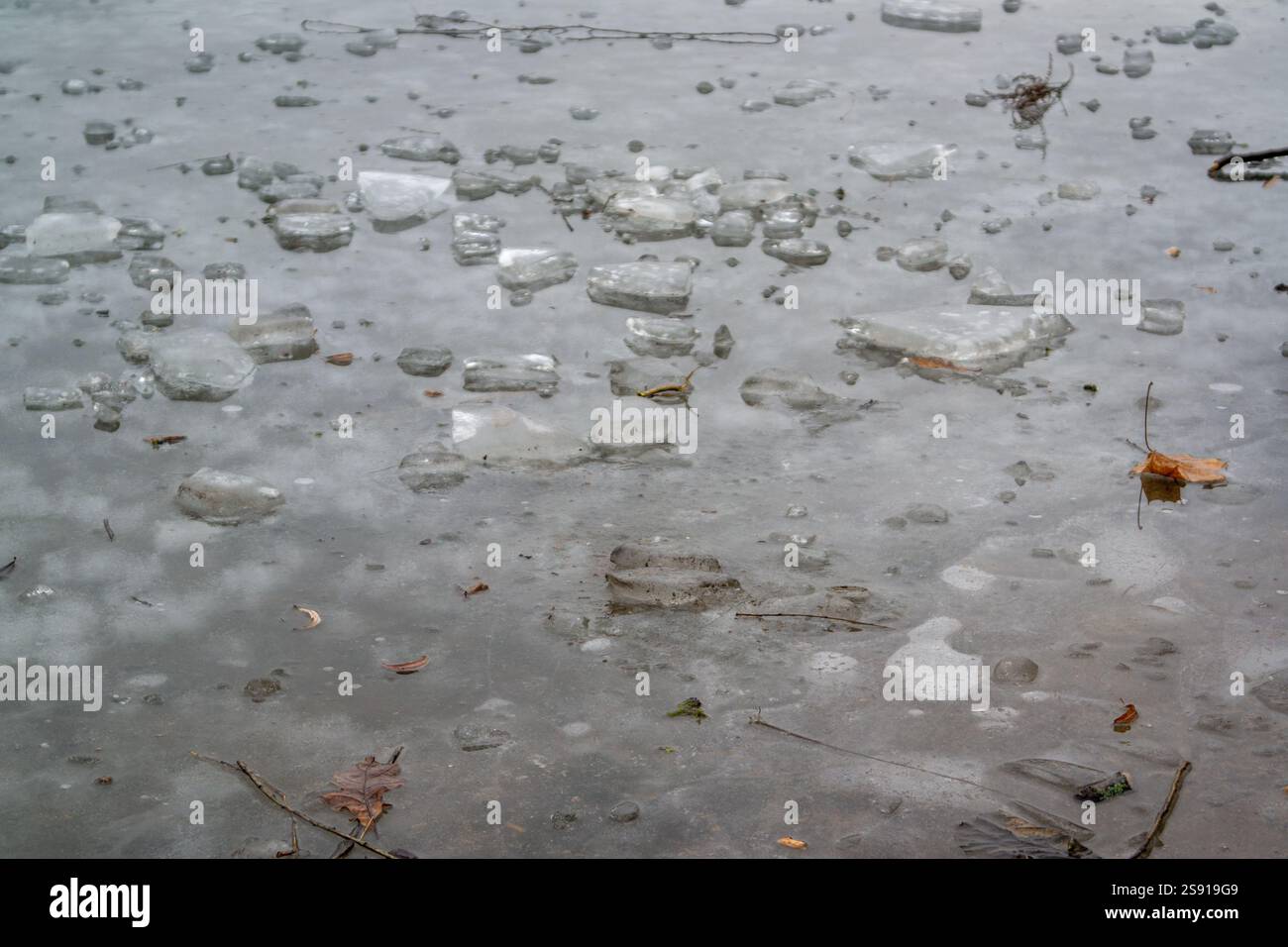 frozen ice surface on a lake with ice floes Stock Photo