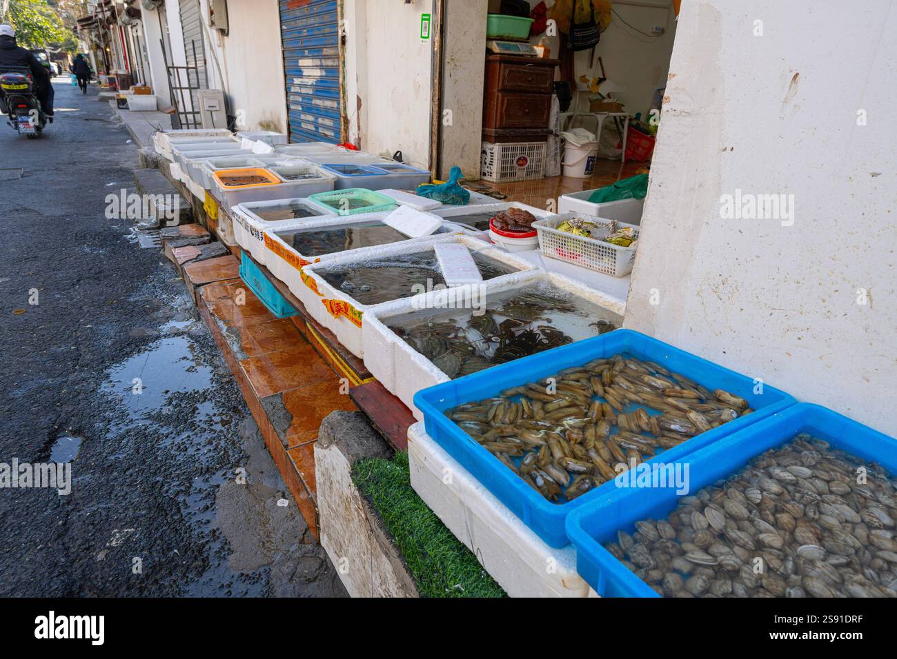 Mini Fish Market Shanghai, China. January 9, 2025. the small fish market in Qibao ...