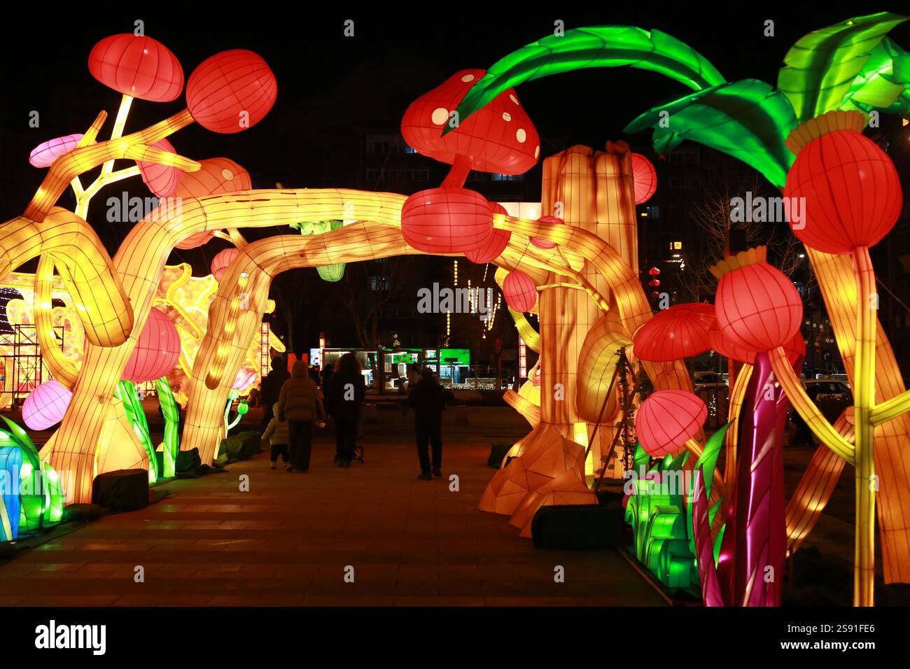 People visit the 7th Shenyang Fangcheng Lantern Show to greet the ...