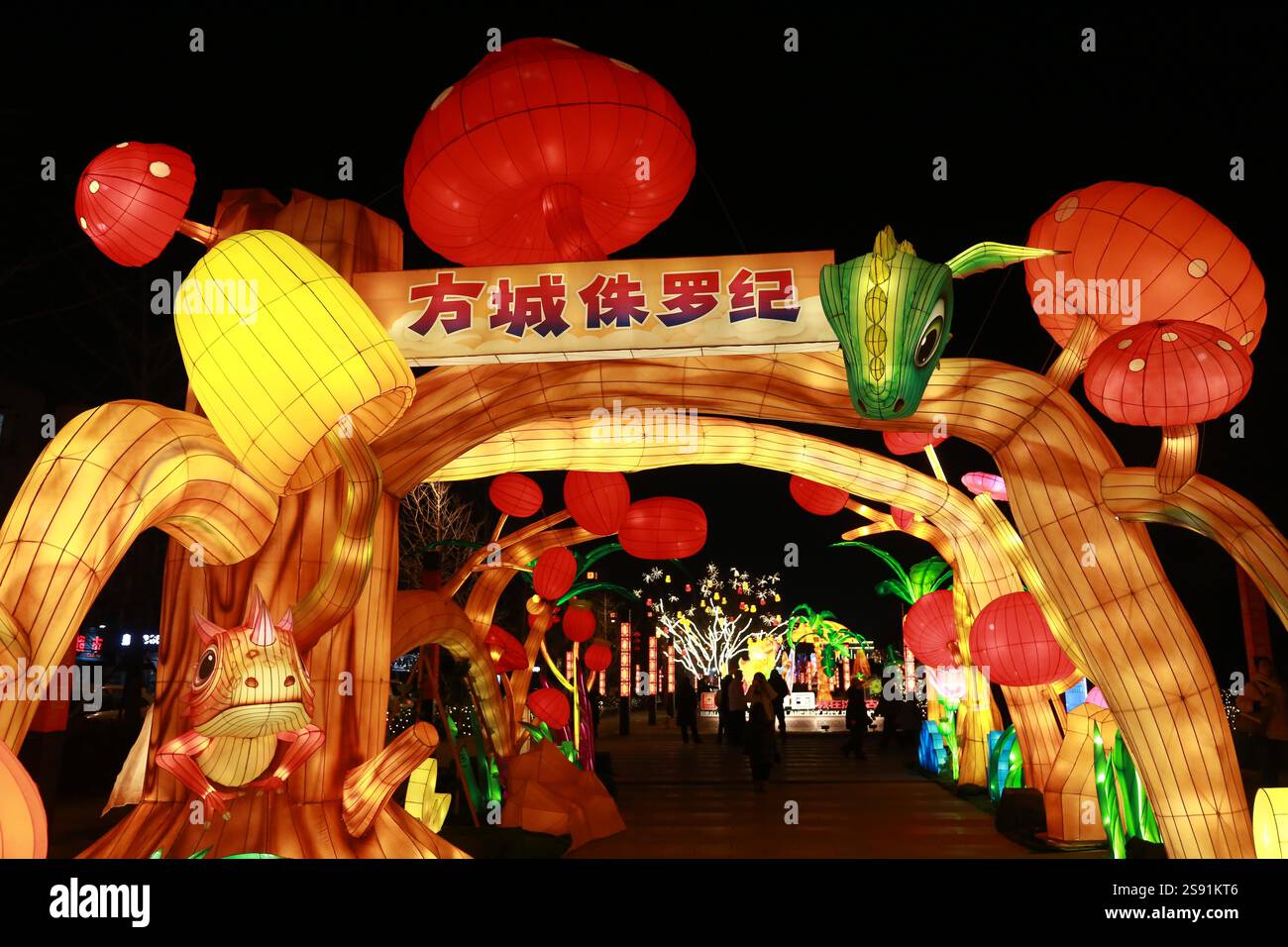 People visit the 7th Shenyang Fangcheng Lantern Show to greet the ...
