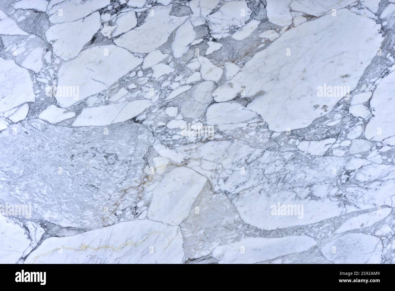 Natural pattern of marble white colour polished disc mineral. Super ...