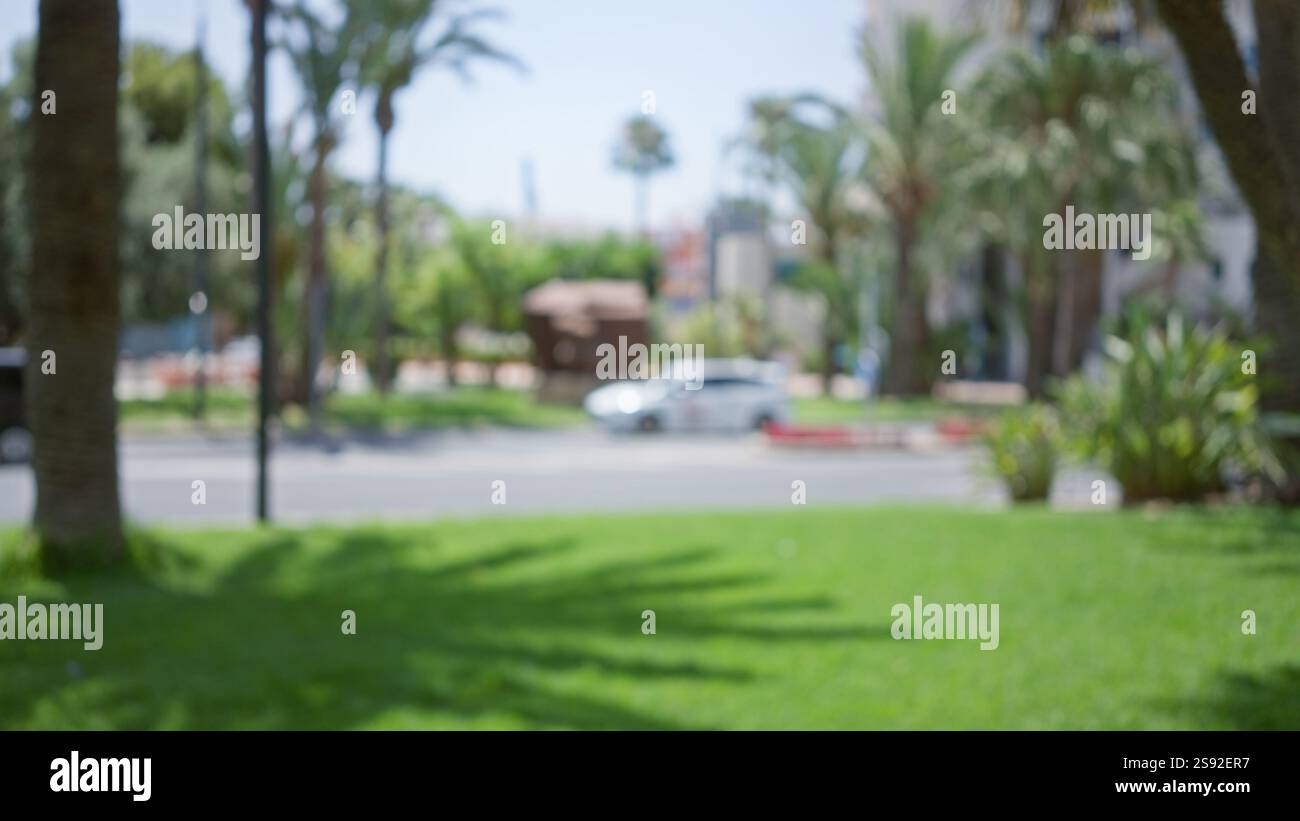 Defocused outdoor scene with blurred greenery and a bokeh effect ...